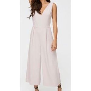 Aritzia Babaton Marcus Jumpsuit - Camille